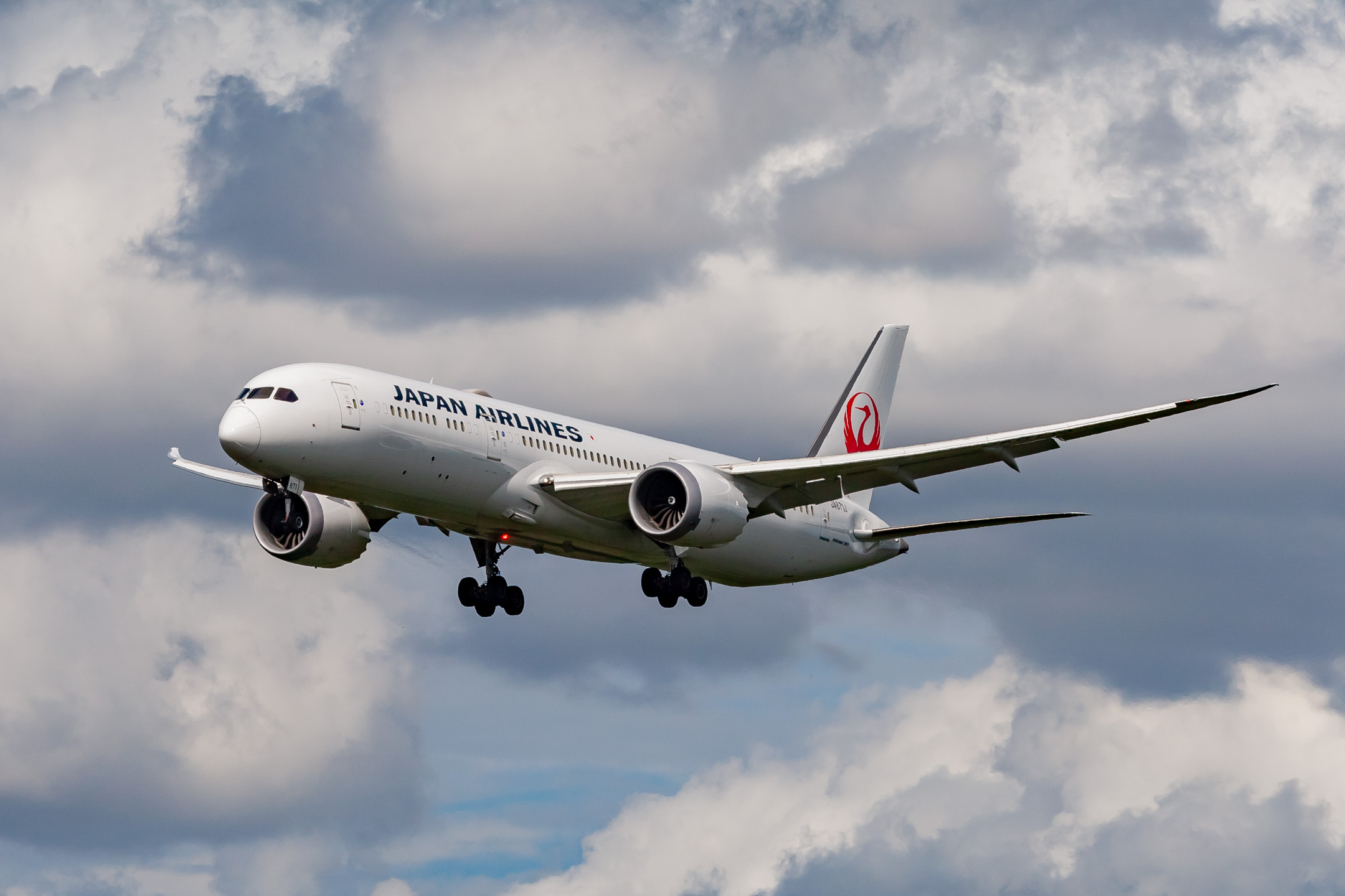 Japan Airlines Boeing 787 Dreamliner (Registration "JA871J") at Frankfurt Airport / FRA