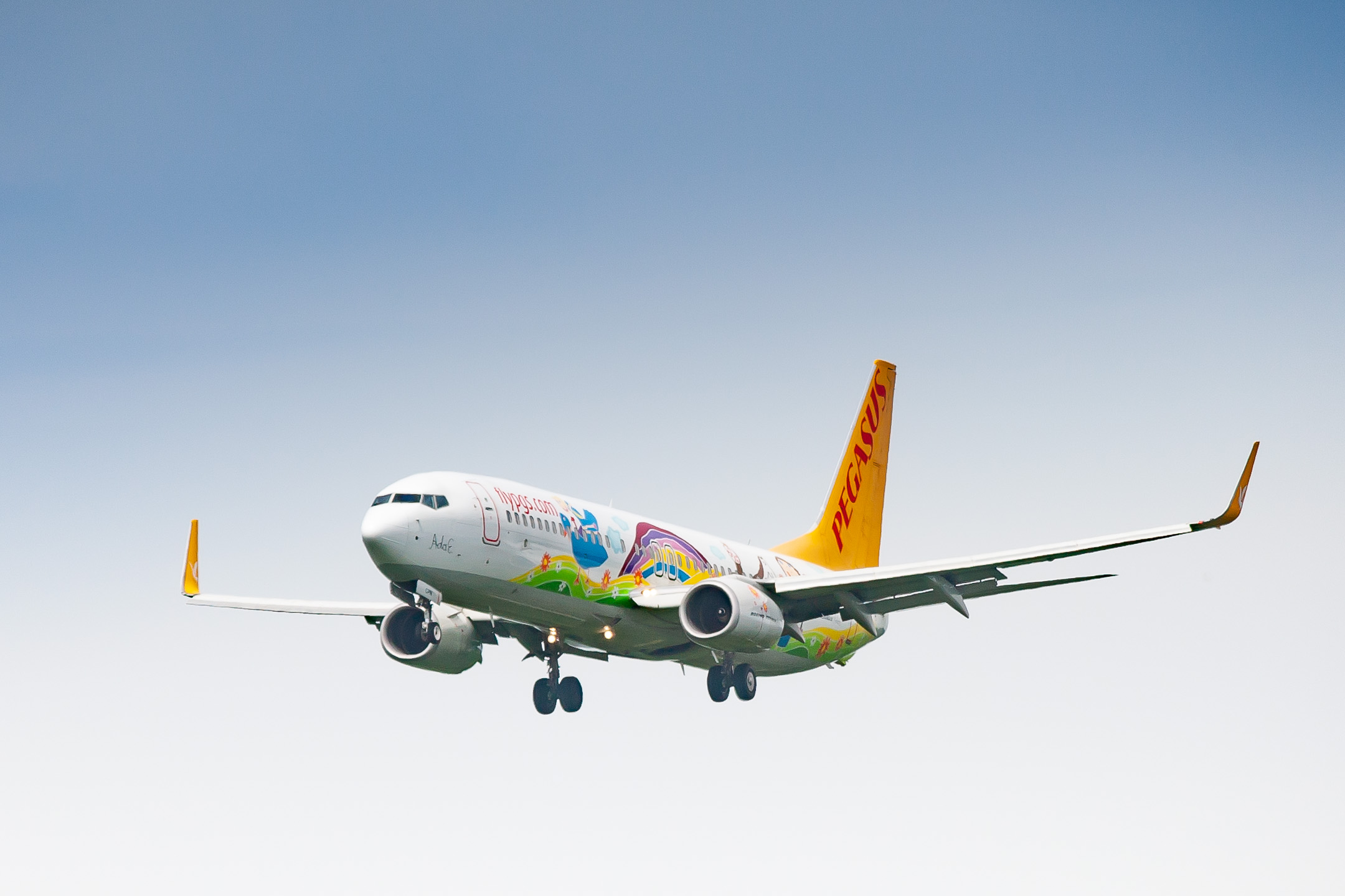 Pegasus Airlines Boeing 737 (Registration "TC-CPN") at Düsseldorf Airport / DUS