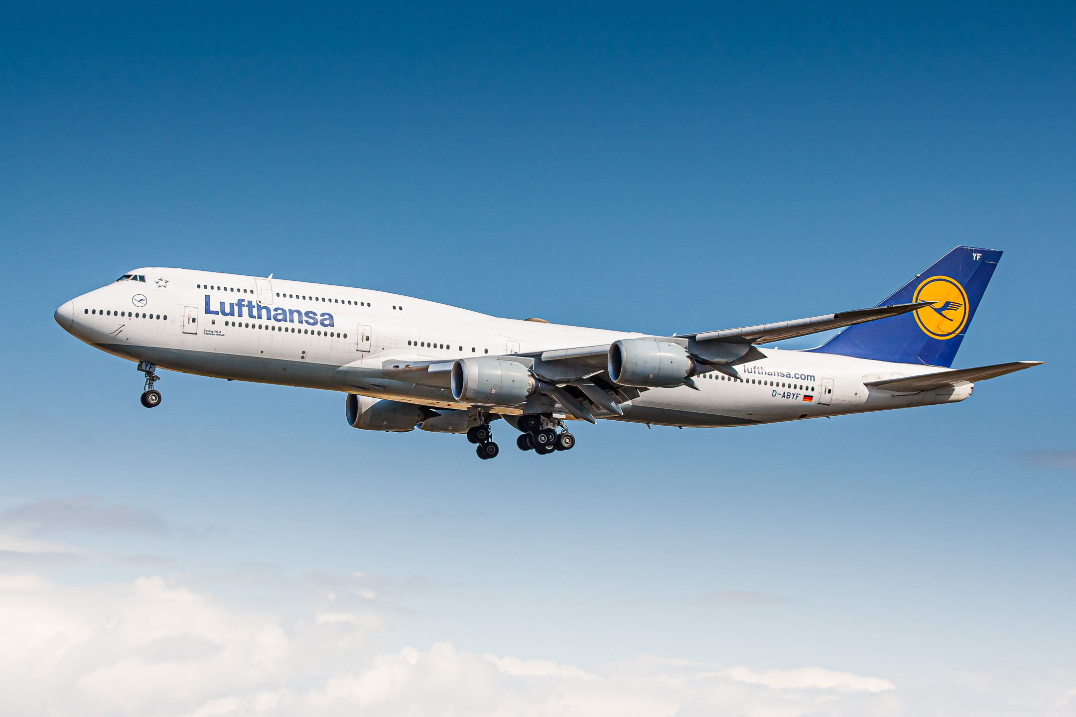 Lufthansa Boeing 747-8 "D-ABYF" on short final for runway 25 center at Frankfurt Airport on a hot summer afternoon, August 2021.