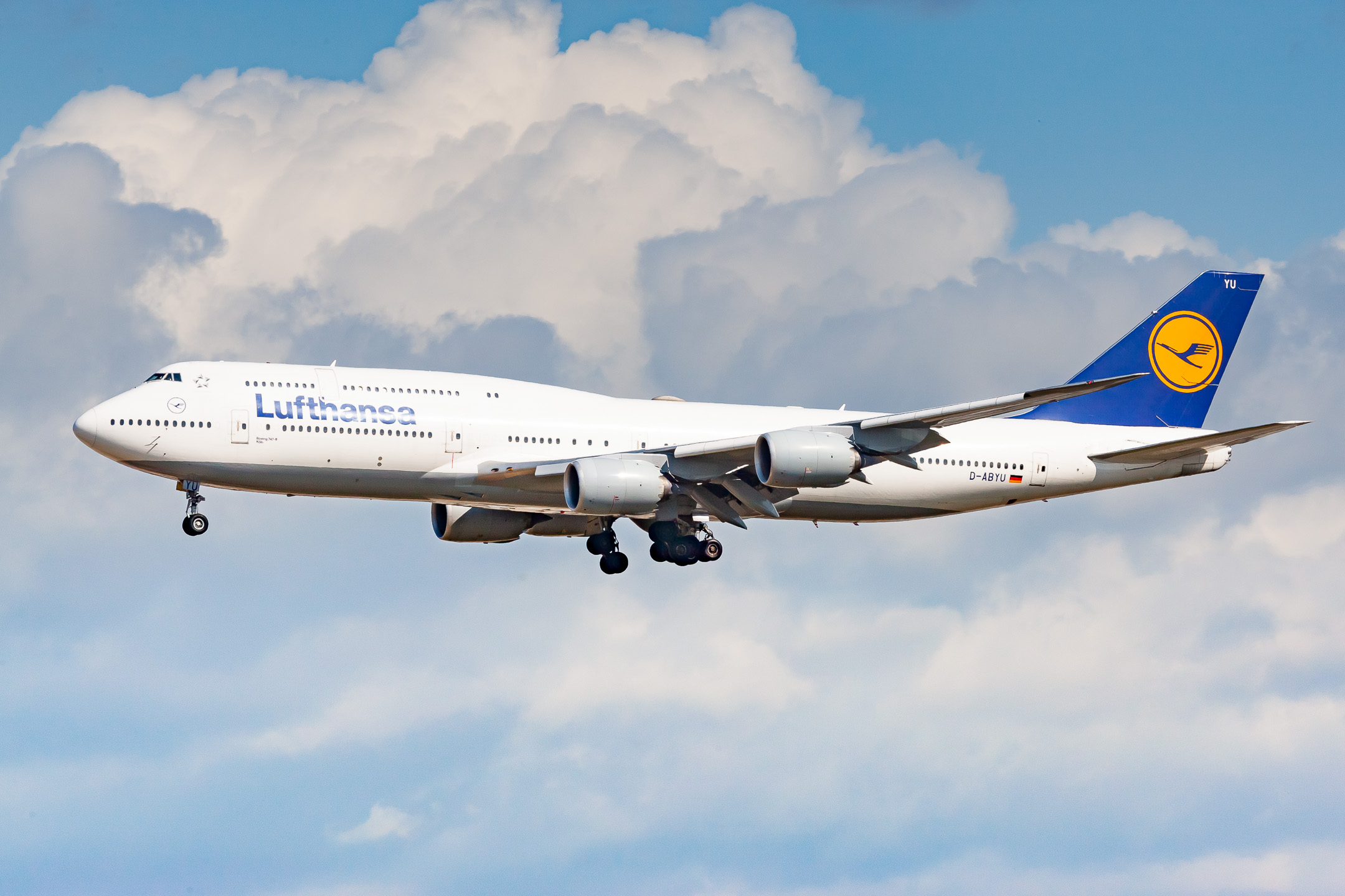 Lufthansa Boeing 747 (Registration "D-ABYU") at Frankfurt Airport / FRA