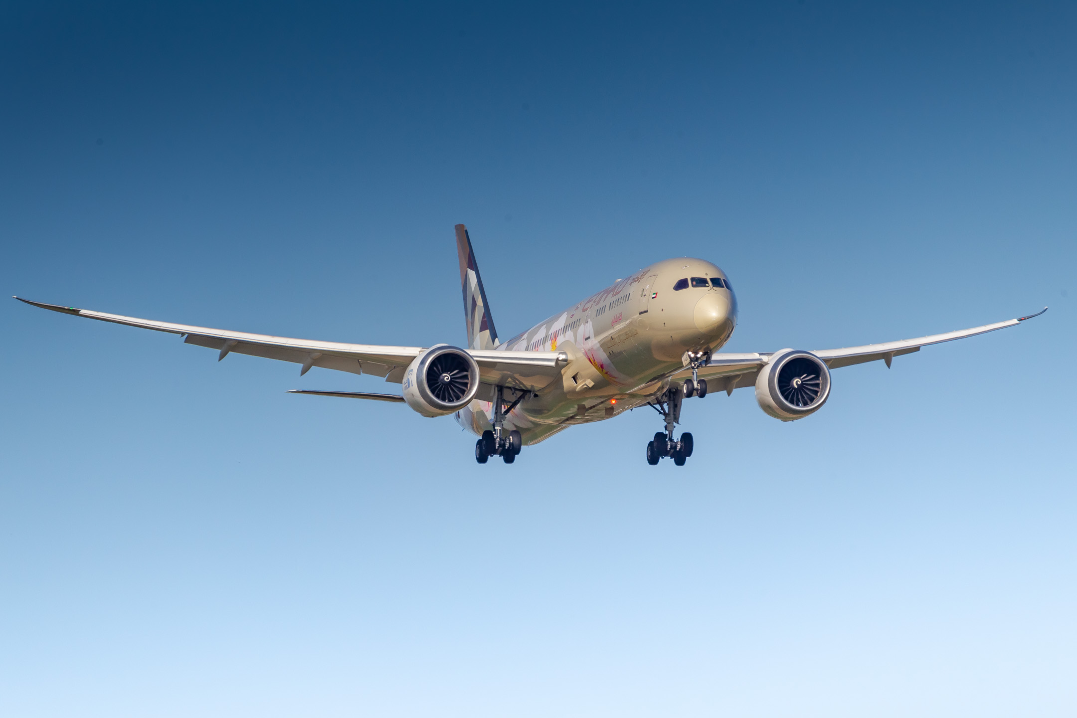 Etihad Boeing 787 Dreamliner (Registration "A6-BLS") at Amsterdam Schiphol Airport / AMS