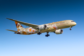 Etihad Boeing 787 Dreamliner (Amsterdam Schiphol Airport / AMS)