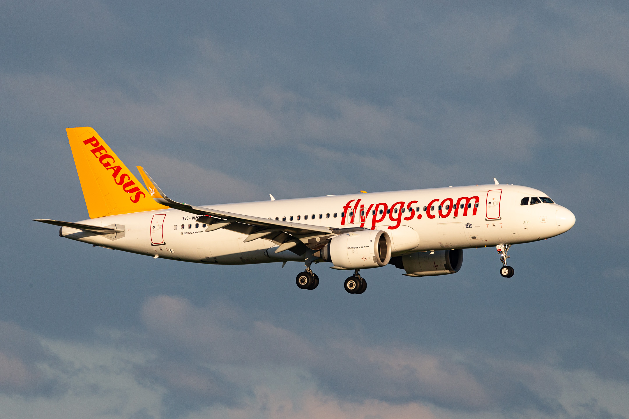 Pegasus Airlines Airbus A320neo "TC-NBK" on short final for runway 23 left at Düsseldorf Airport, August 2023